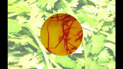 AGENT PROVOCATEUR სუნამოს წყალი სპრეი