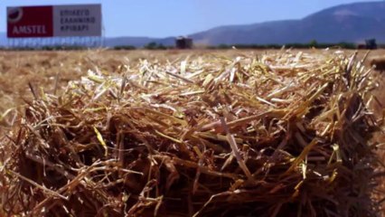 Αγρότες: Είμαστε εδώ