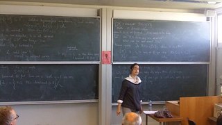 BIRATIONAL GEOMETRY OF TERMINAL QUARTIC HYPERSURFACES - ANNE-SOPHIE KALOGHIROS
