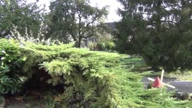 Comblachien secteur, belle maison 140m2 - Agence CARREZ immobilier