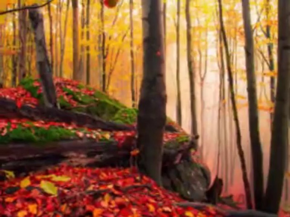 Quand vient l'automne Mireille Mathieu