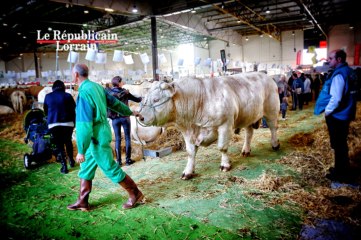 Agrimax à Metz : le bonheur est-il toujours dans le pré ?