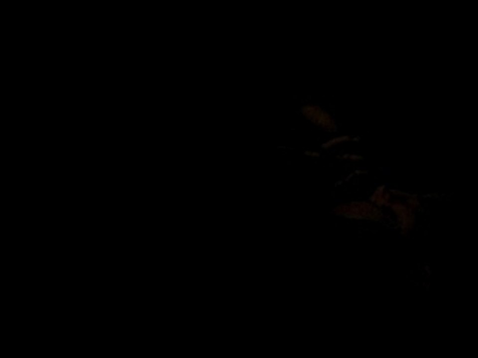 Laetitia et le beaujolais...