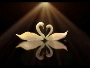 Ahmet SeLim - KaLbim FiRaRda___NiLKaRa___