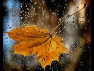 Ahmet SeLim - GİBİ___NiLKaRa___