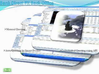 Bank Direct FX - Best Online Trading Platforms for Small Business Investors