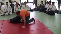 Türk Güreşçi İle Aikido Ustası Karşı Karşıya Gelirse