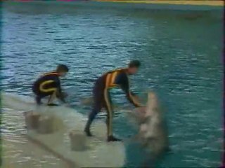 Champs Elysées au Parc Asterix (Partie 3/5)