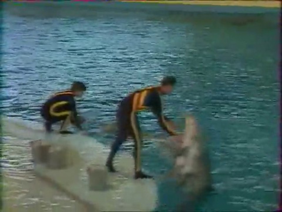 Champs Elysées au Parc Asterix (Partie 3/5)