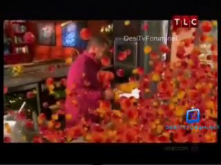 Everyday Exotic 26th October 2013 2013 Video Watch Online pt3
