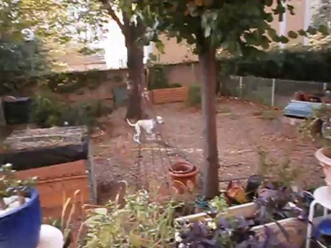 Gandhi et Eros le 26-10-2013 n° 3