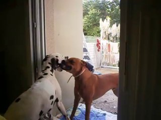 Gandhi et Eros le 26-10-2013 n° 4