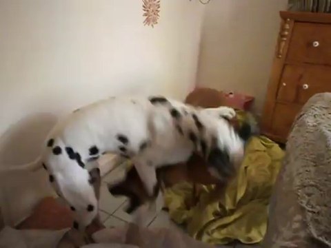 Gandhi et Eros le 26-10-2013 n° 5