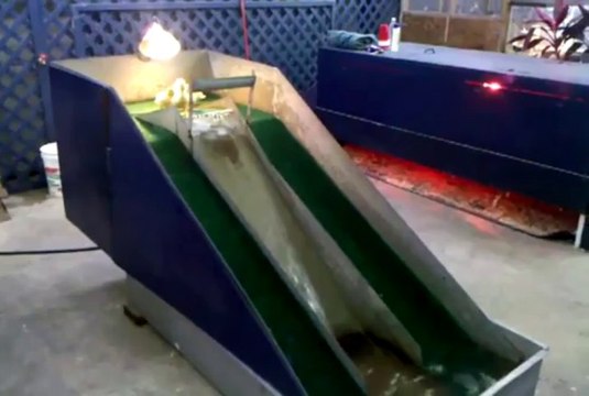 Baby Duck Slide! So so cute duckling.