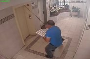 Dog almost killed by an elevator