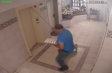 Un chien pas loin d’être écrasé par un ascenseur... Chaud!