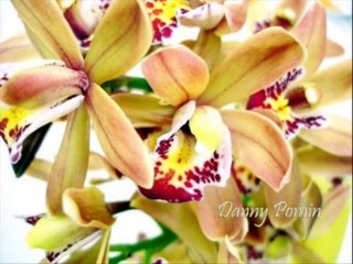 SALMOS CAP  121 - A BIBLIA NA LINGUAGEM DE HOJE