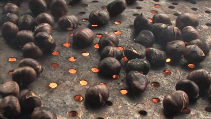 Bande annonce en H264 du documentaire "Le temps des châtaignes"  2'32''