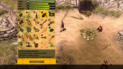 Un test rapide de How to survive