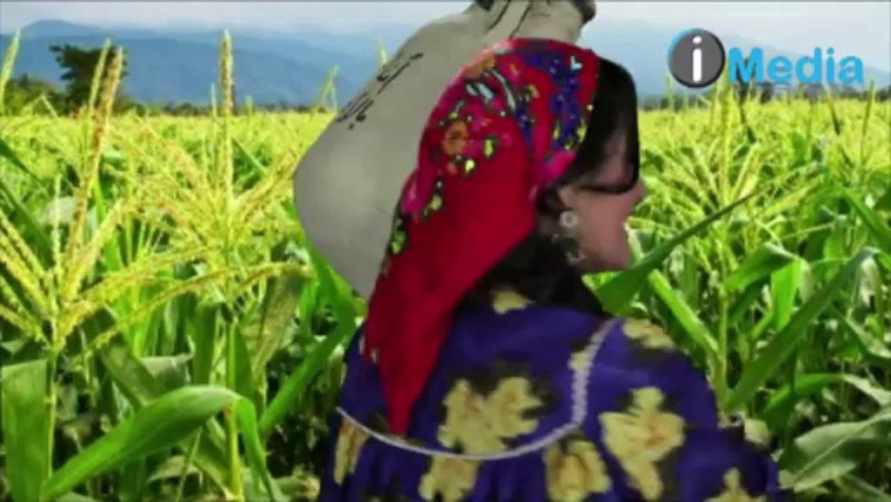 Sama El Masry - 7azekon / سما المصري - حازقووون
