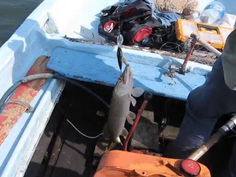 MVI_0902 TERKOS TURNA