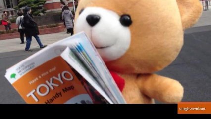 Travel Agency Sends Your Stuffed Animal on a Vacation