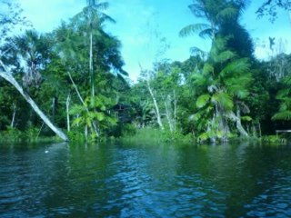 SALMOS CAP 19  - A BIBLIA NA LINGUAGEM DE