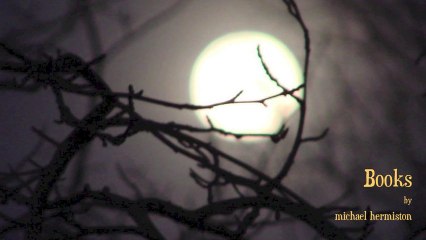 Books by michael hermiston (original)