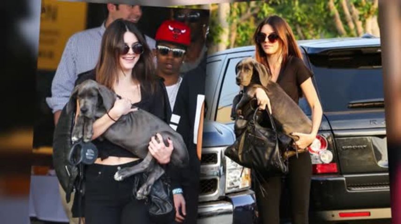 Kendall jenner zeigt ihren danische dogge welpen