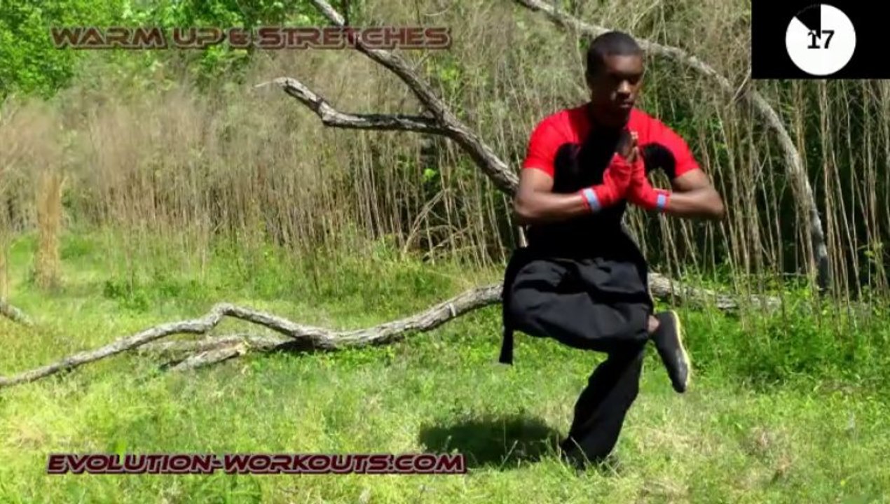 Marital Arts Workout Routine (Fallen Tree)