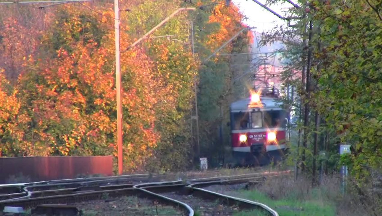 EN57 113