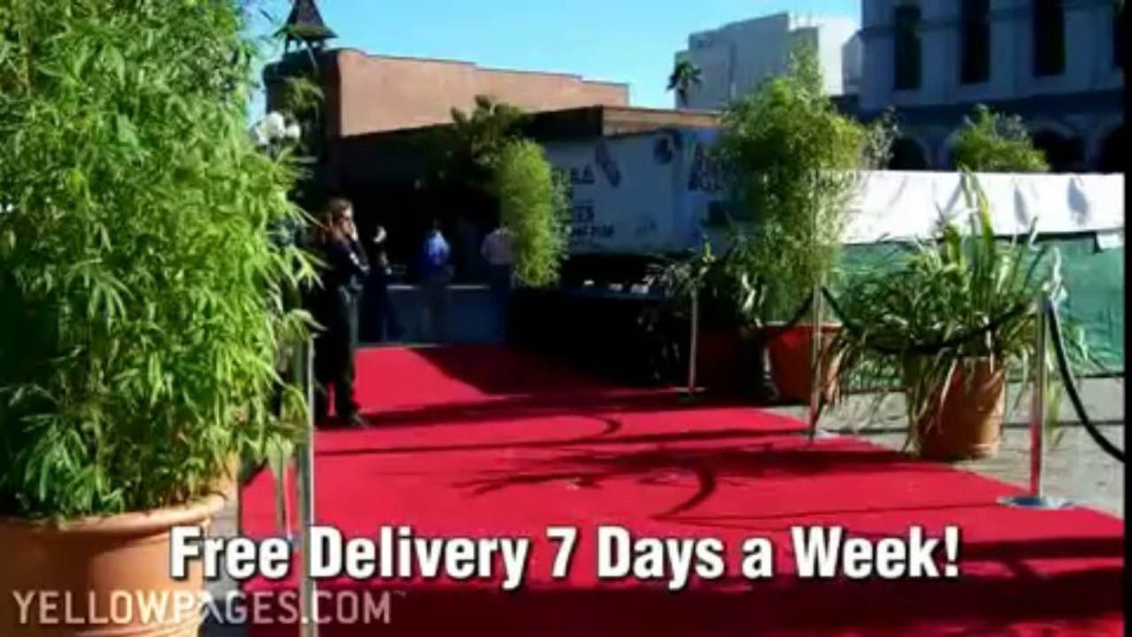 Party Supply Rentals Los Angeles – AAA Rents & Events