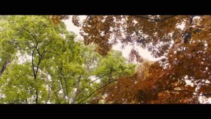 La comedia y el terror invaden la cartelera