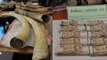 Thailand seizes illegal ivory from Africa: suspects offer to bribe officers
