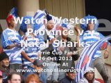 Watch Western Province vs Natal Sharks Live Rugby 26 Oct