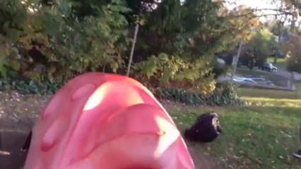 Ethan Frome Music Video