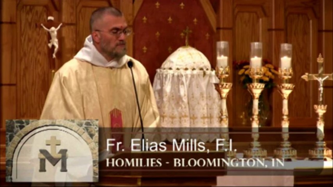 Oct 25 - Homily: Our Fallen Nature