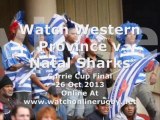 Watching Rugby Online Western Province vs Natal Sharks