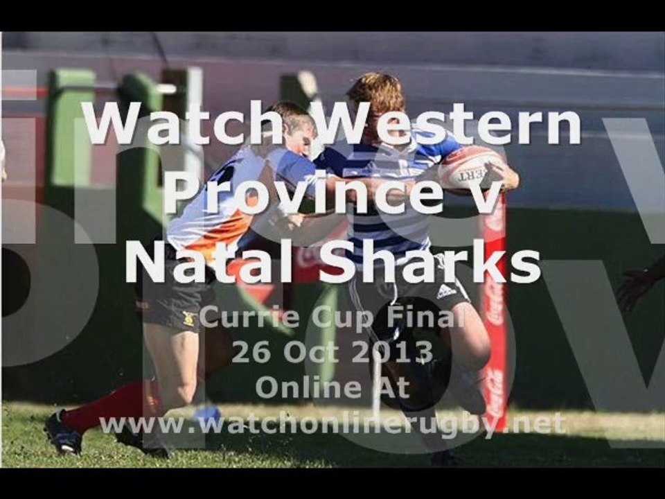 Watch Western Province vs Natal Sharks Live Rugby On 26 Oct 2013
