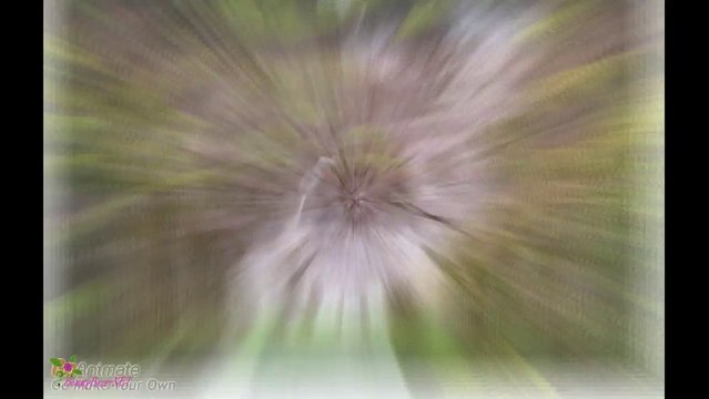 BVLGARI Omnia Green Jade ტუალეტის წყალი სპრეი