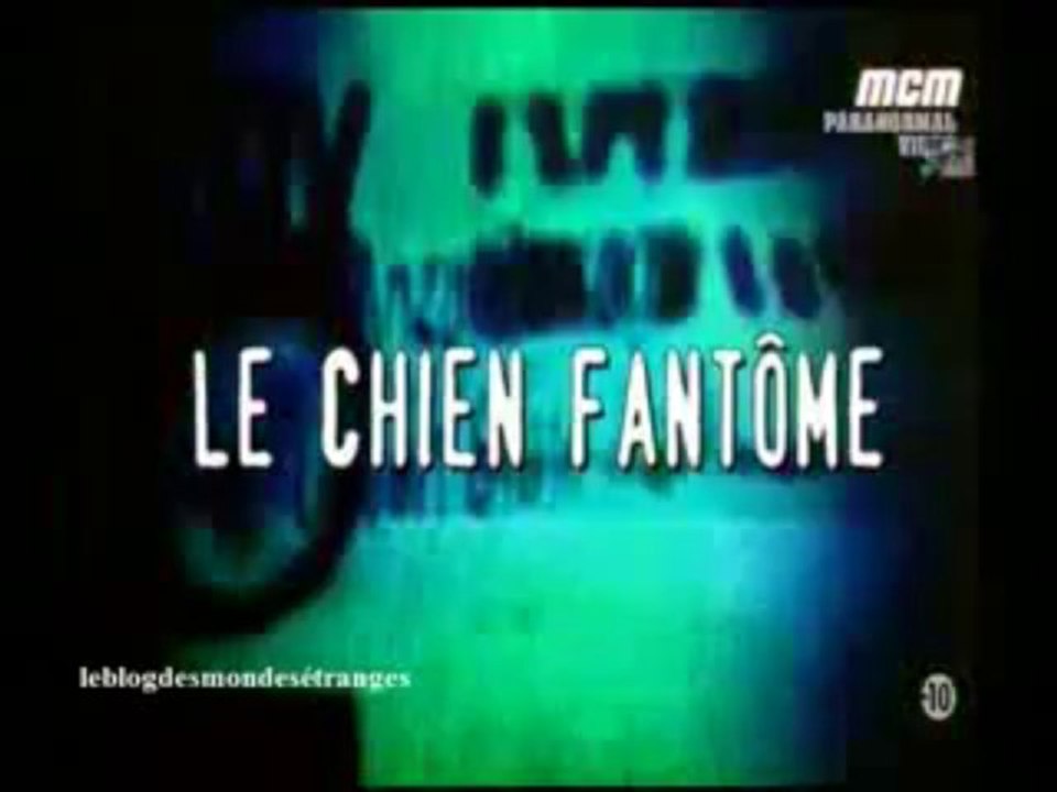 paranormal vidéo_chien fantôme S01E12