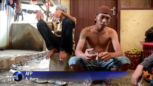 Indonesian capital swoops to rescue performing monkeys