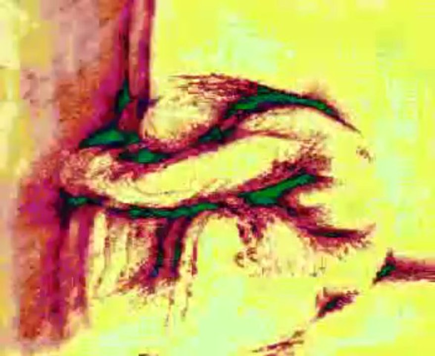 Tanha - Gayab (2004) Full Song