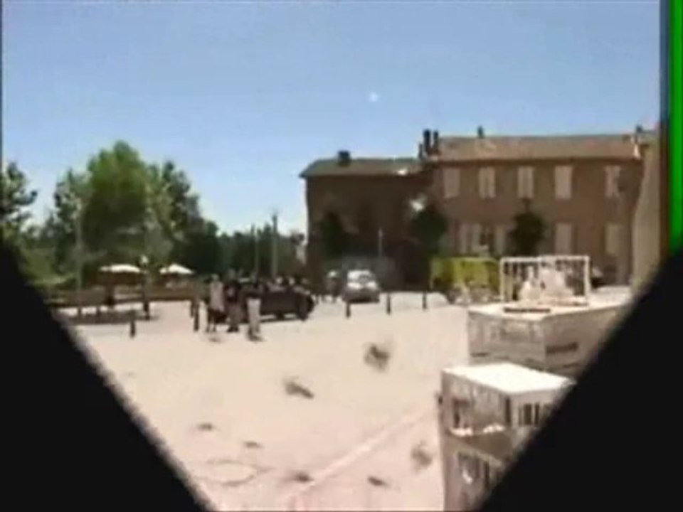 LACHER DE COLOMBES TOULOUSE MOON EVENTS 0664937284