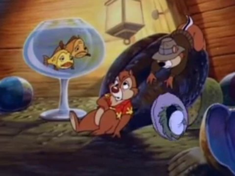 tic et tac ranger du risque - La guerre des anchois naura pas lieu