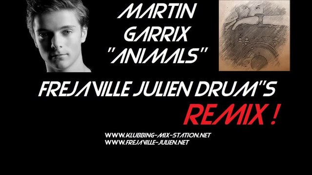 Martin Garrix - Animals (Frejaville Julien Drum's Remix)