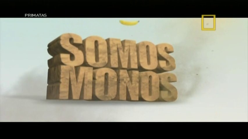 Primatas