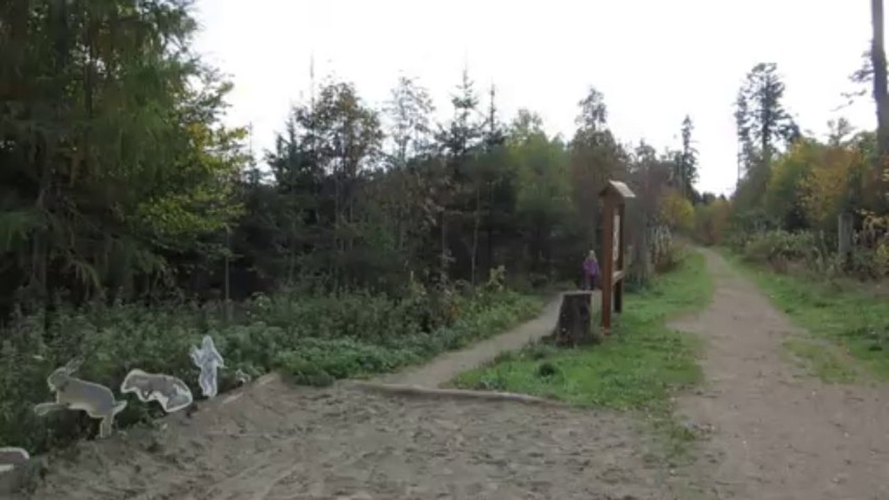 MVI_3860