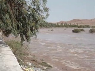 Laghouat m'zi 11 10 2013