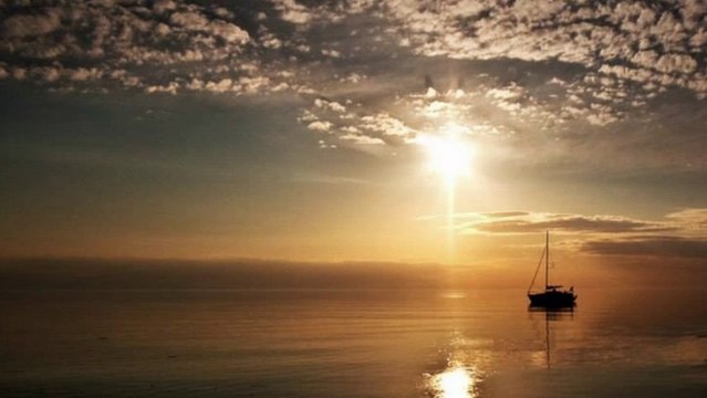 Müzeyyen Senar - - Meftûnun oldum ey vech-i ahsen